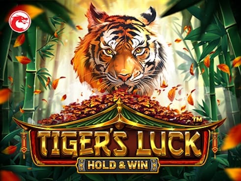 Tiger's Luck - Hold and Win game thumbnail